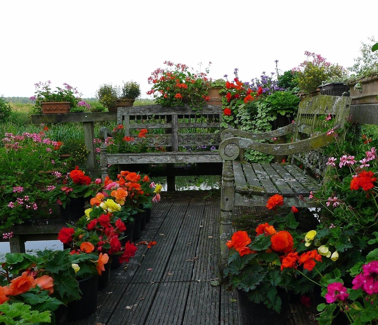 Blumenbeet im Kleingarten