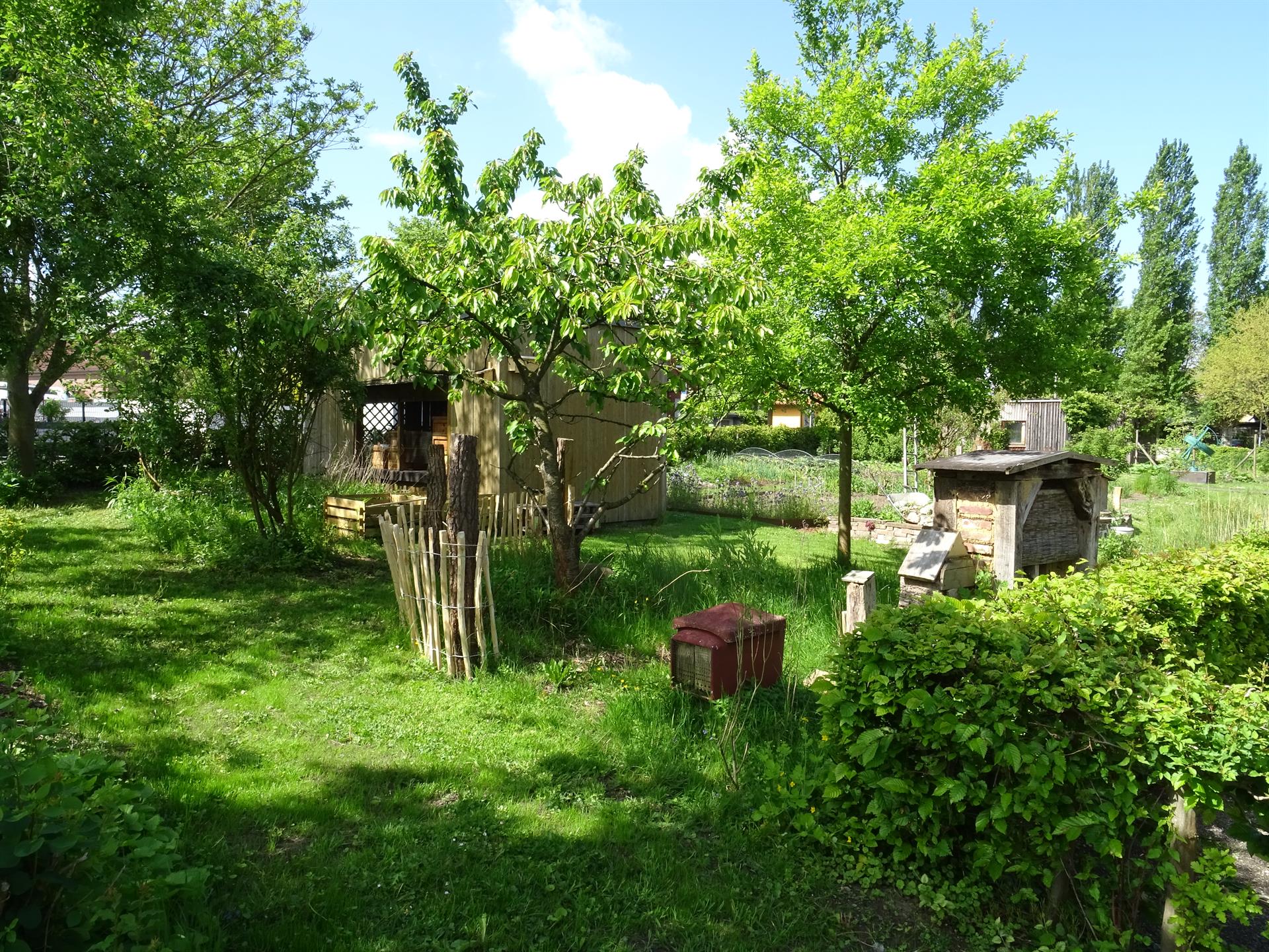 Ein Kleingarten mit vielen Bäumen und einer Holzhütte