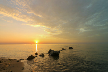 Wir trauern um unsere verstorbenen Mitglieder 