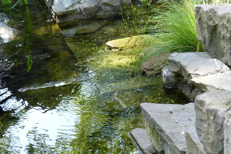 Foto des Wassergartens mit Felsen und Bachlauf