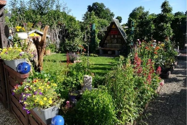 Blühende Vielfalt im Kleingarten – auch Zierpflanzen profitieren sichtbar von der nährstoffreichen Terra Preta.