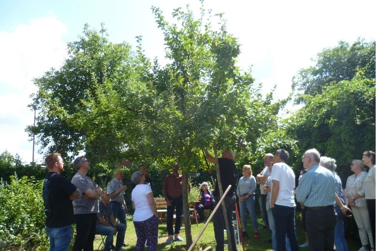 Großes Interesse beim Obstbaumschnitt