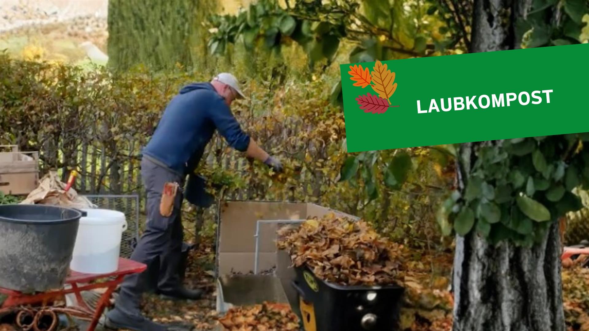 Schritt für Schritt zum eigenen Laubkompost im Kleingarten