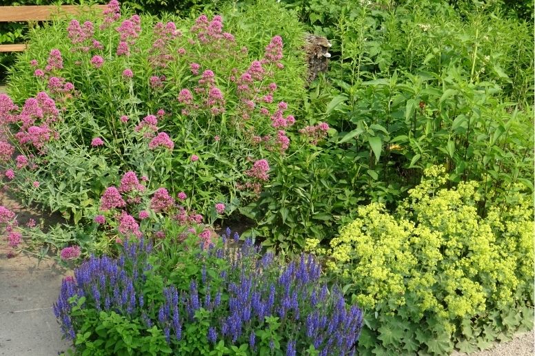 Blühendes insektenfreundliches Staudenbeet 