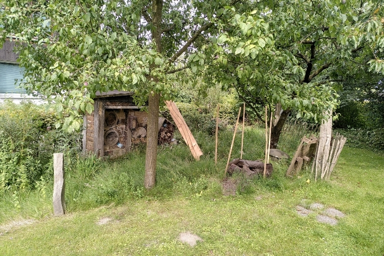 Käferkeller: Erfahren Sie, wie man der Wohnungsnot im Kleingarten begegnen kann. 