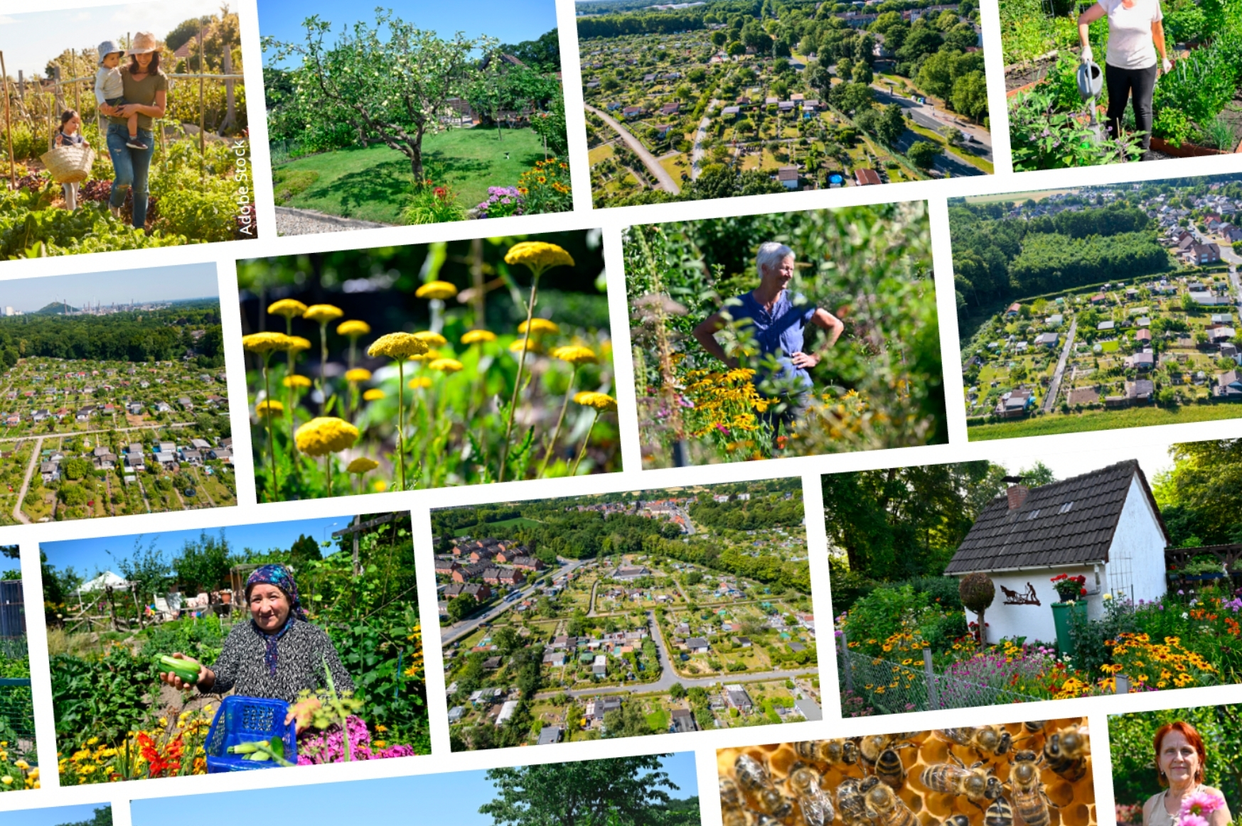 Save the date: Mitgliederversammlung 2026