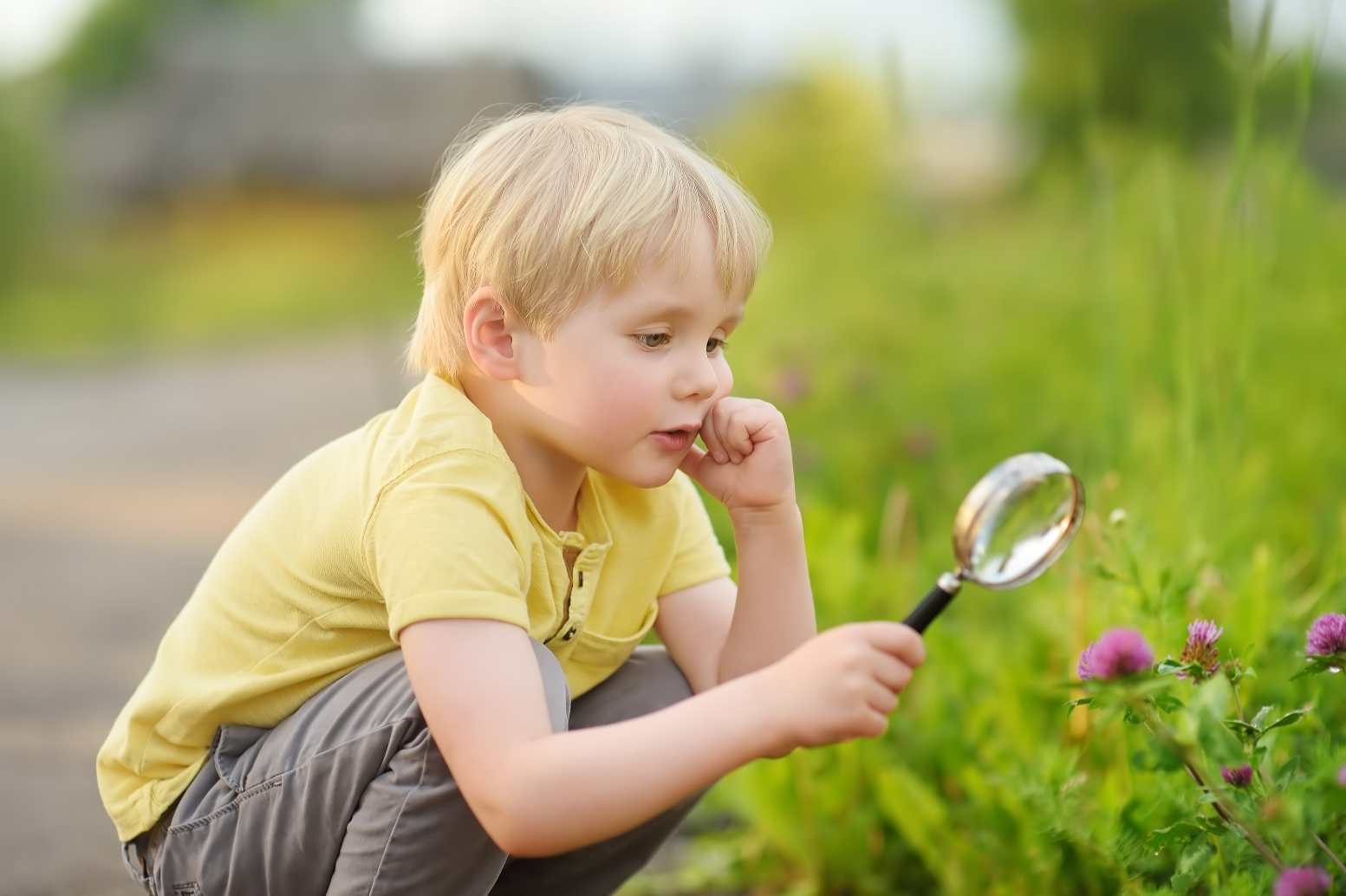 Ihre Geschichte gehört ins Museum: Kleingärten gesucht!