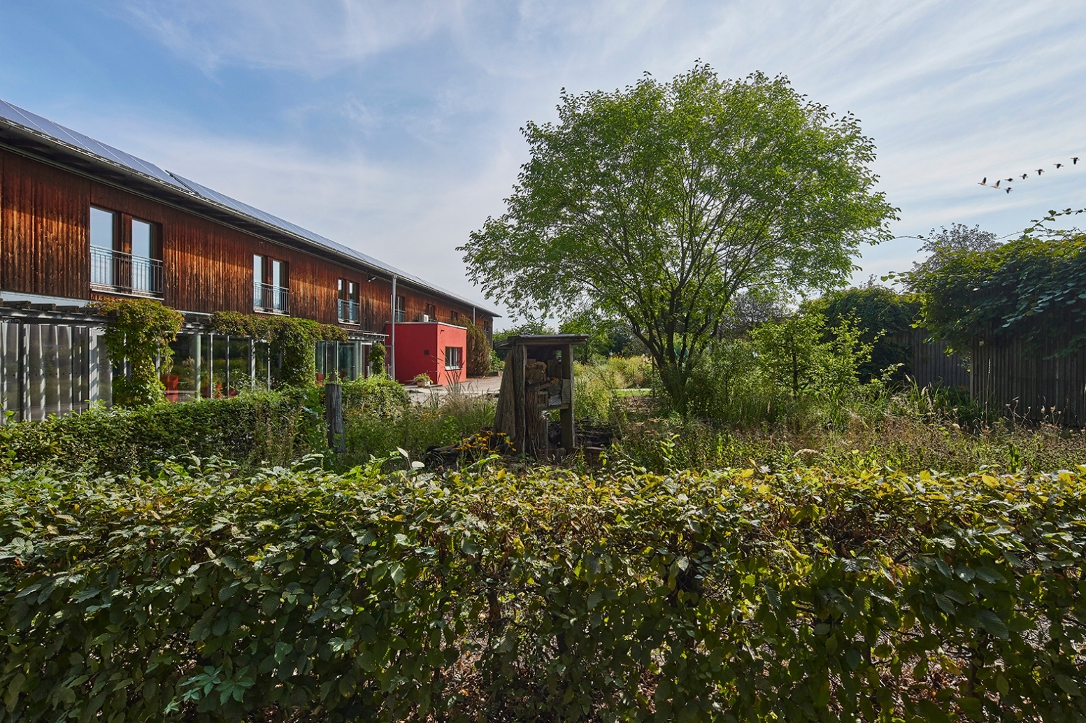 Lehrgänge im zweiten Halbjahr – Jetzt Plätze sichern!