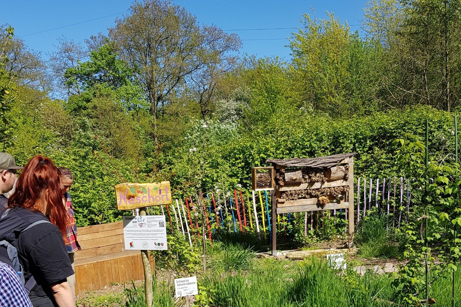 Gemüsebau im Garten – Einblick in die Vielfalt des Gärtnerns bei der Fachberatertagung
