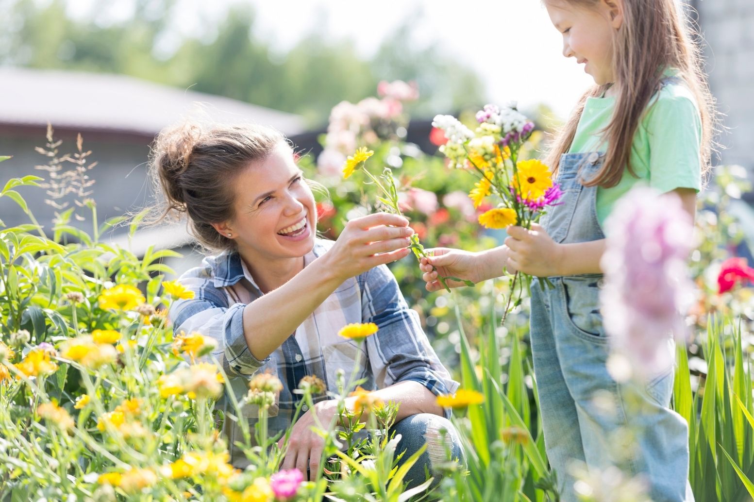 Einladung zum Offenen Gartennachmittag und zum 30-jährigen Jubiläum der Landesschule in Lünenam 29. August 2026