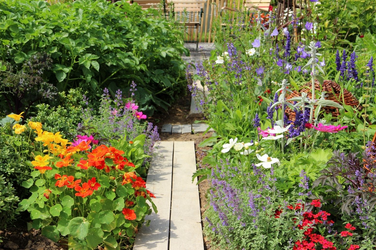 Kooperation statt Konkurrenz: Wie Insekten, Vögel und Pflanzen gemeinsam für Stabilität im Garten sorgen